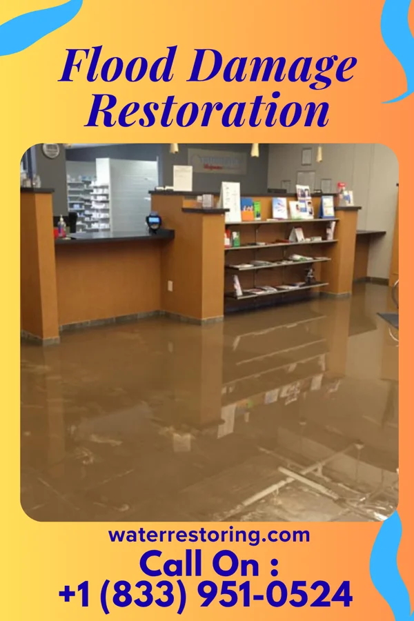 Flood Damage Restoration in Oriental, NC