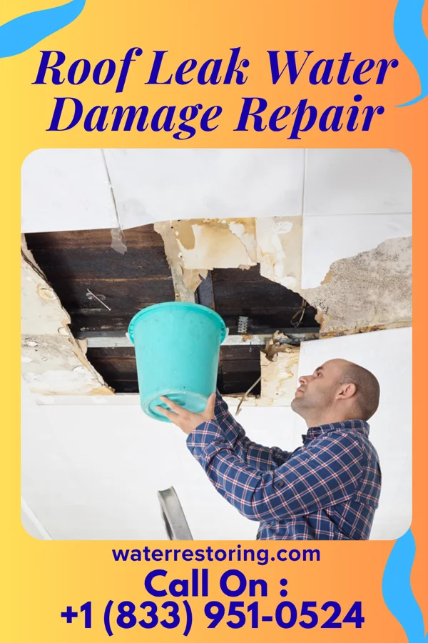 Roof Leak Water Damage Repair in Oriental, NC