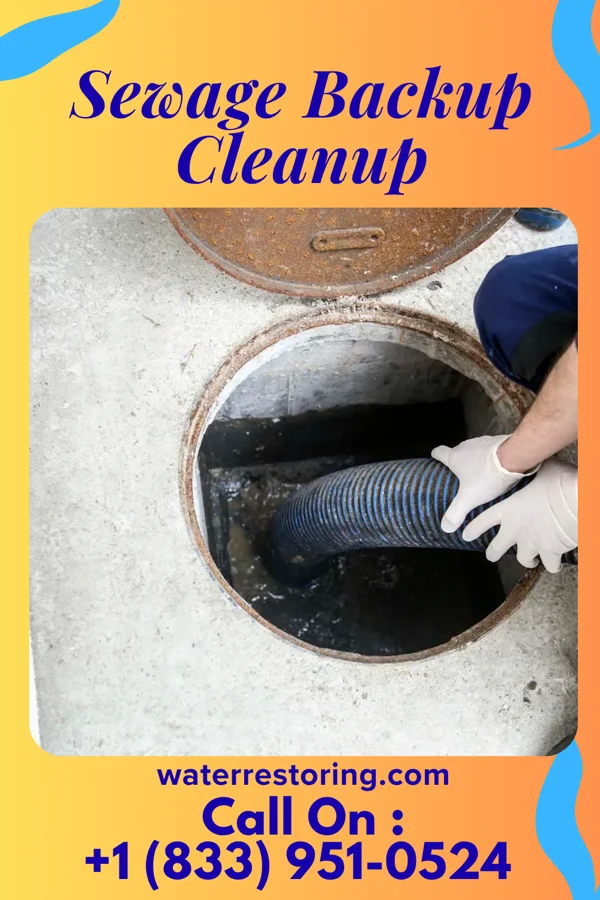 Sewage Backup Cleanup in Oriental, NC